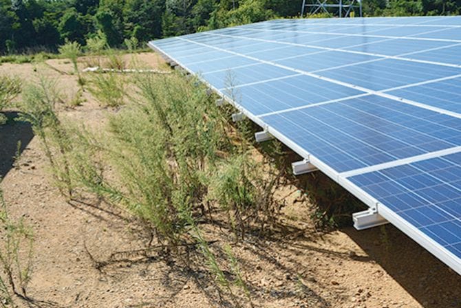 草が生えた現場