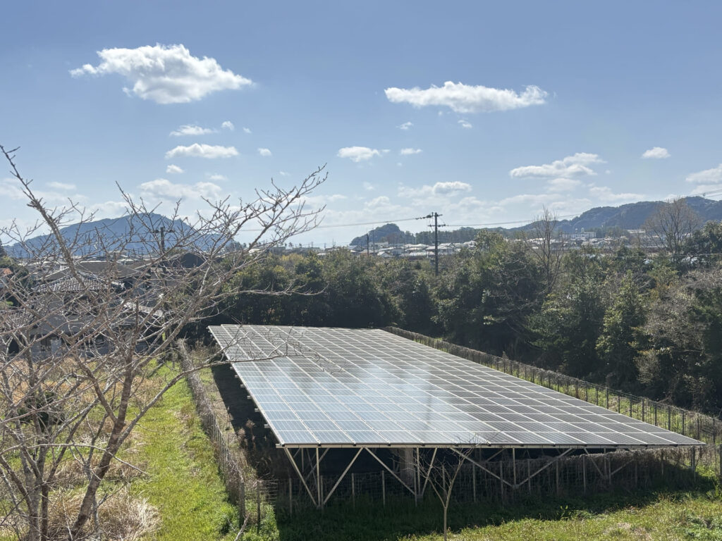 野立太陽光発電の写真