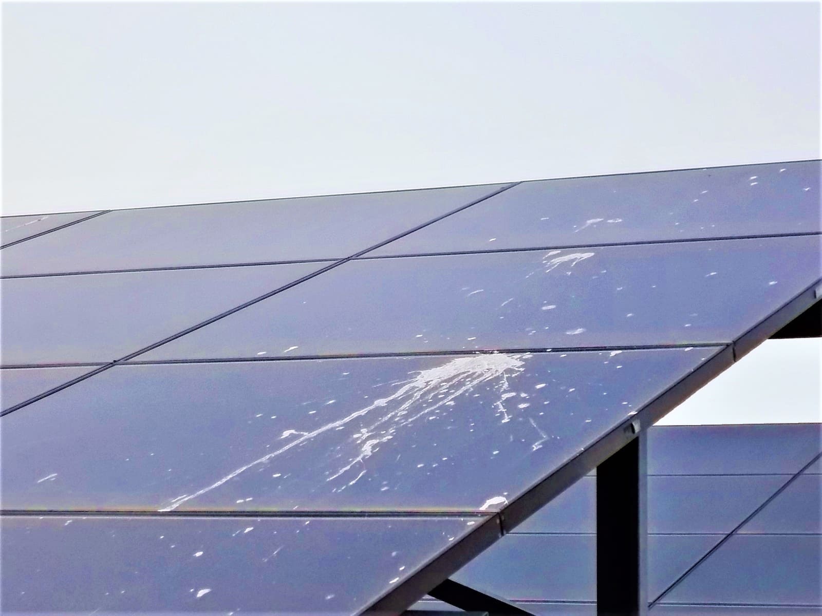 太陽光パネルが汚れている写真